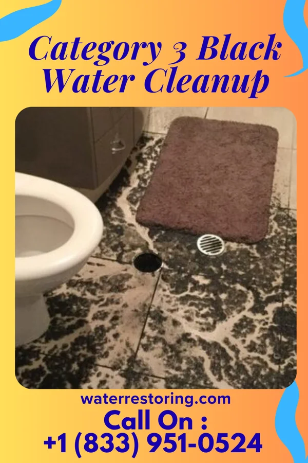 Category 3 Black Water Cleanup in Biggersville, MS
